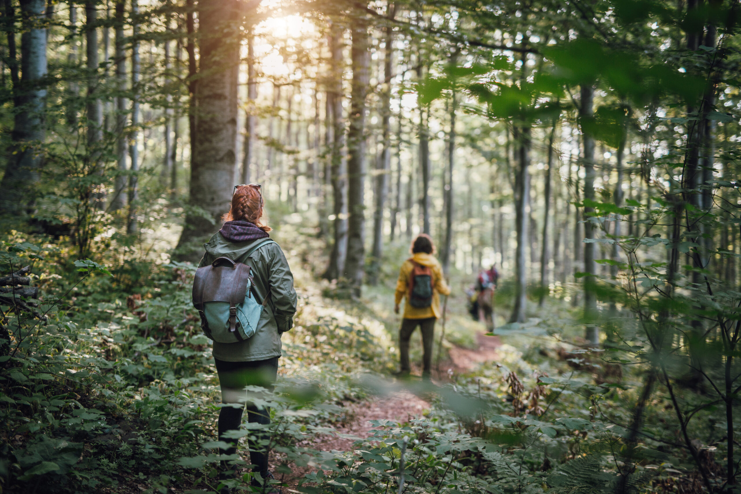 Pilgrimsvandring i Skarpnäck