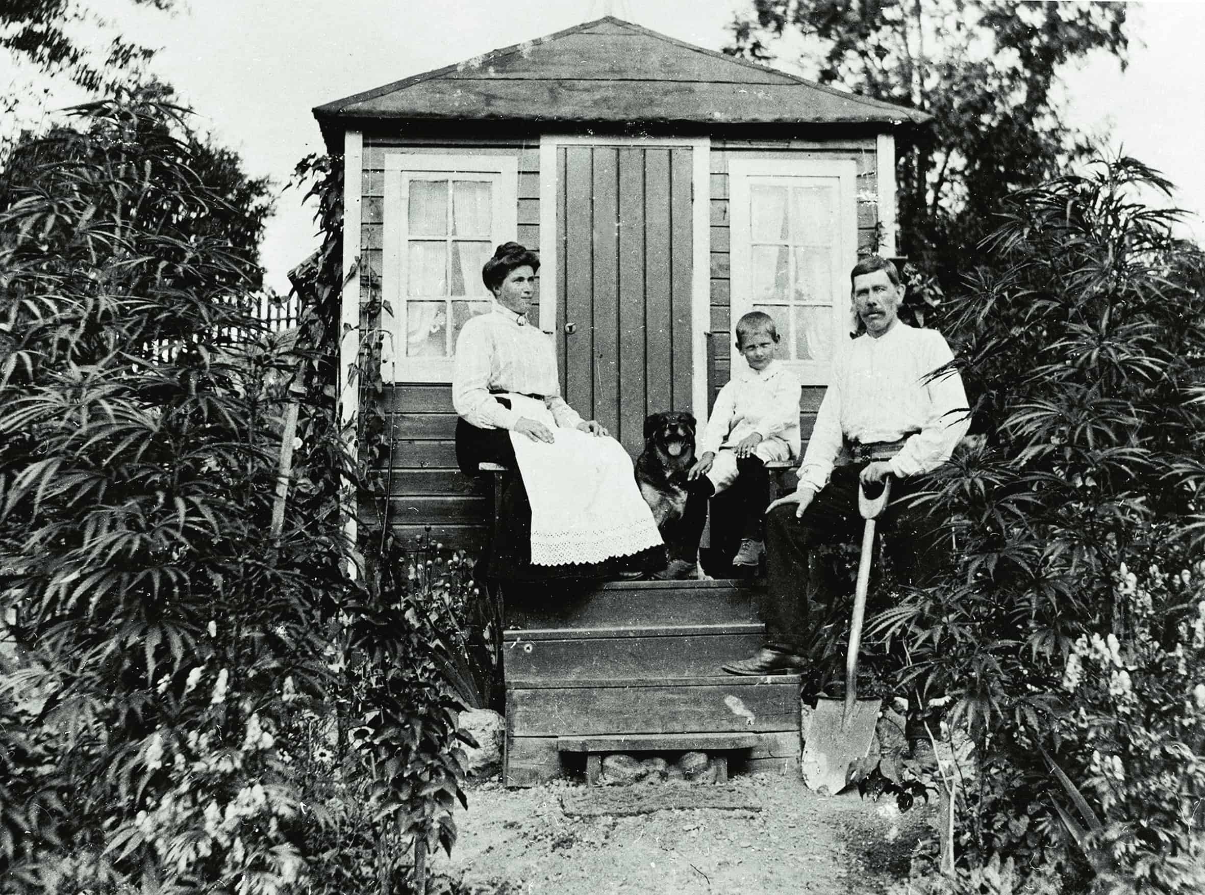 Jord för alla – Odling och mat