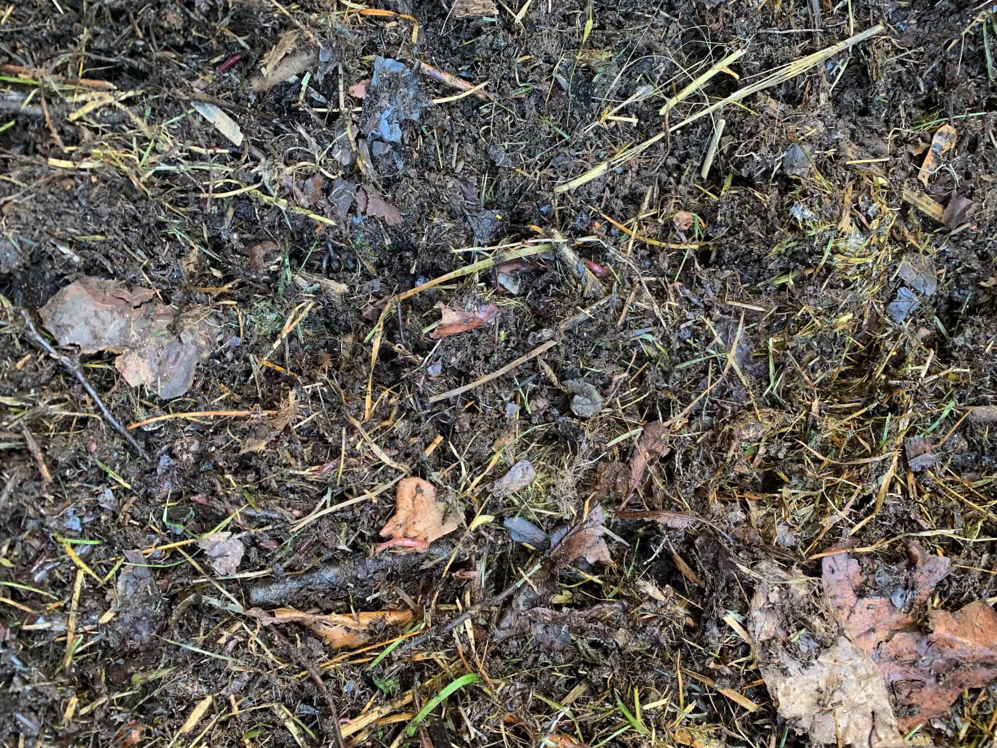 Vi gör en kompostlimpa i pallkrage