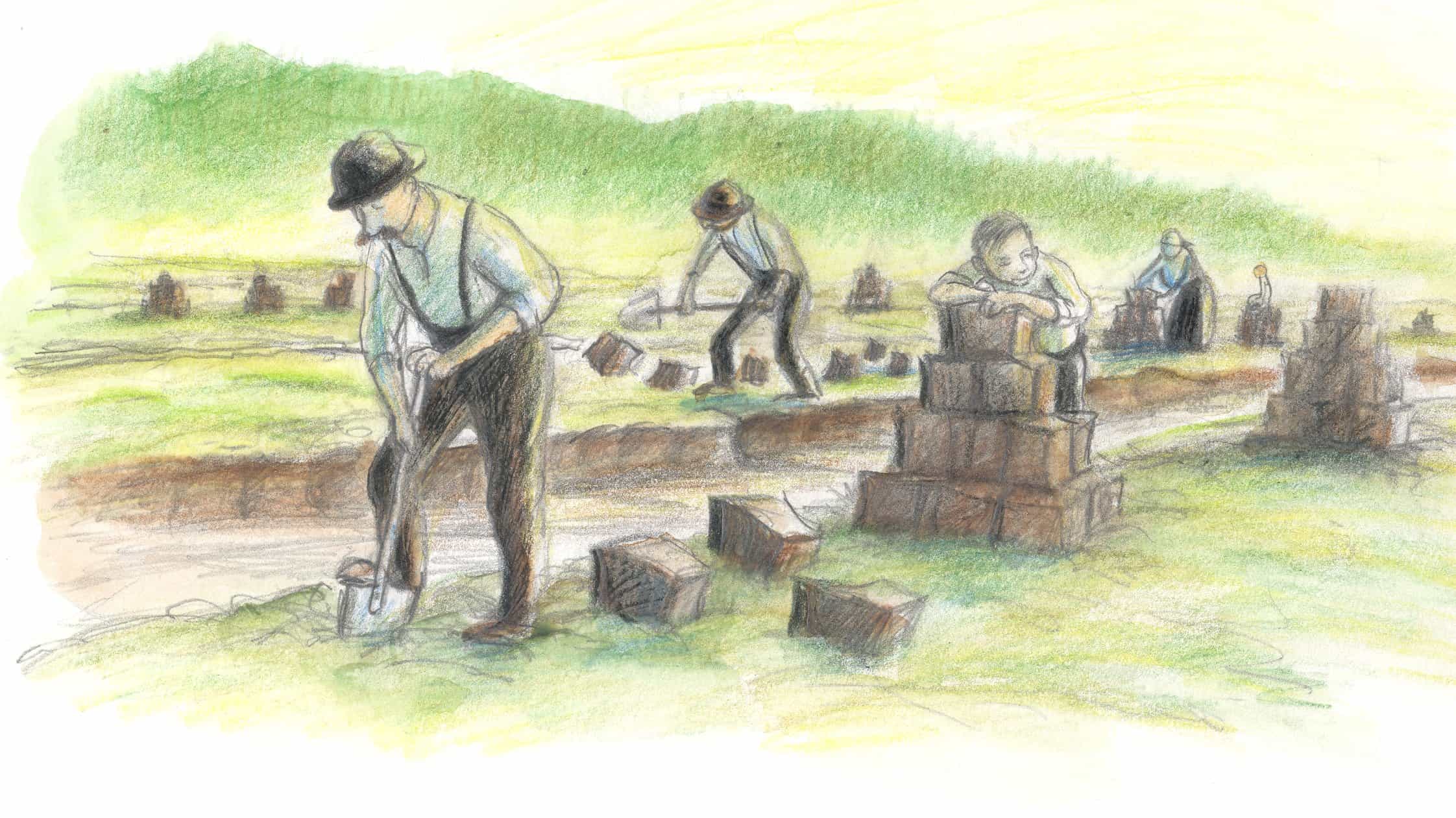 Vandring på Älta mosse