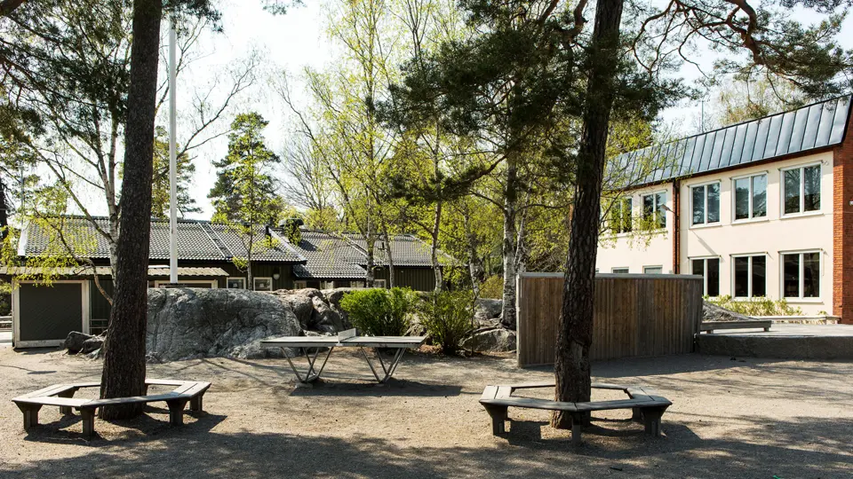 Elevutställning – ”Skogen är viktig”